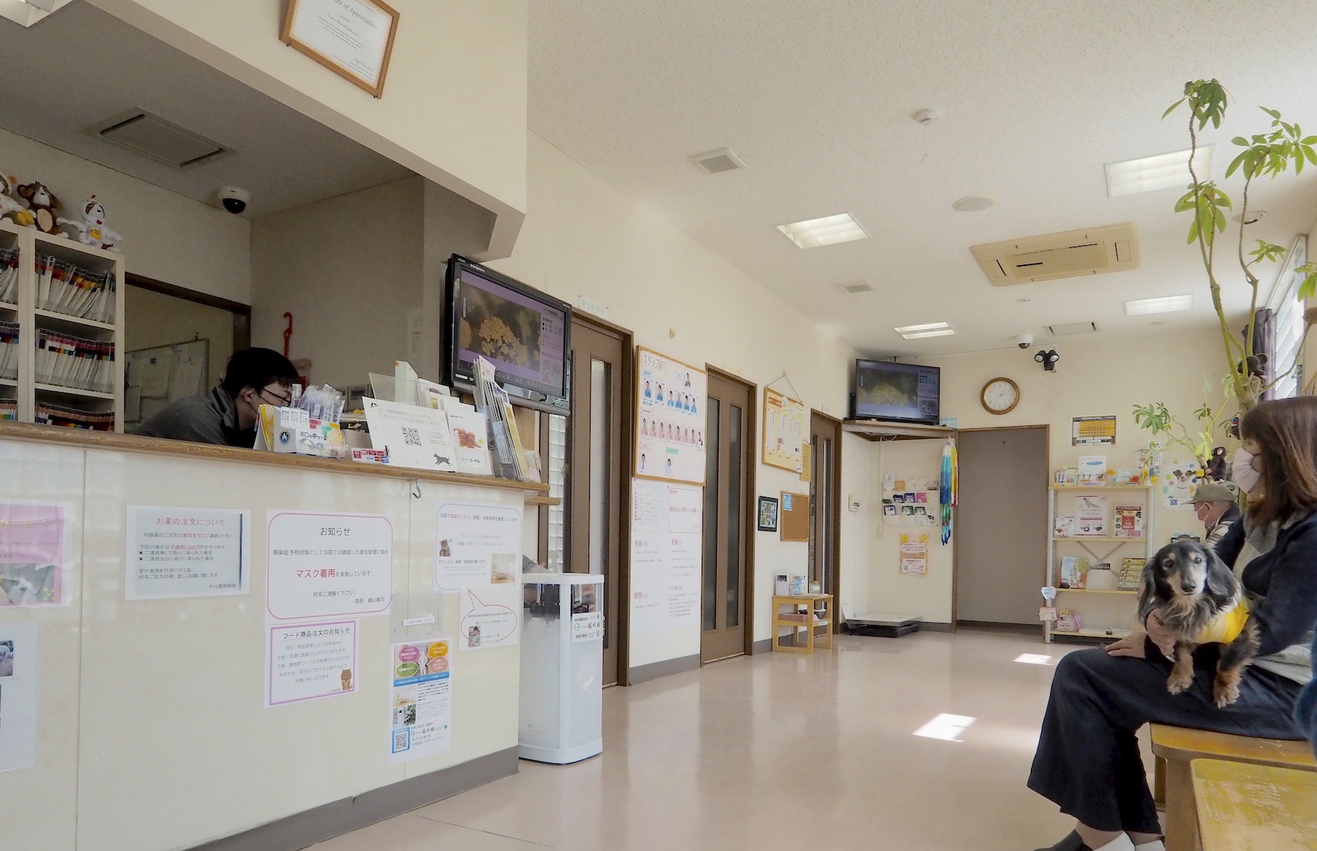 空間除菌のナノシード、ユーザーレビュー① | 株式会社堀内組 空間除菌のナノシード、ユーザーレビュー① | 株式会社堀内組